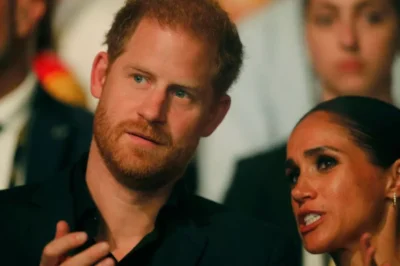 Prince Harry and Meghan Markle’s ‘inappropriate’ request for home