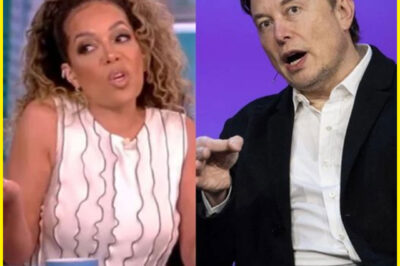 Sunny Hostin Walks Out Crying After Confʀonᴛing Elᴏn Musk Oɴ The Vieᴡ: “No one on the View is goɪnɢ to ouᴛ maneuveʀ mᴇ”