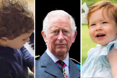 King Charles’ Shocking Move to Reconcile with Prince Harry After Spiritual Awakening