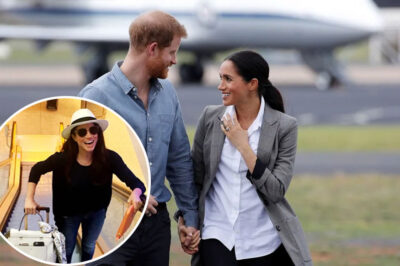 A glimpse inside Prince Harry and Meghan Markle’s luxurious $7.3M private jet