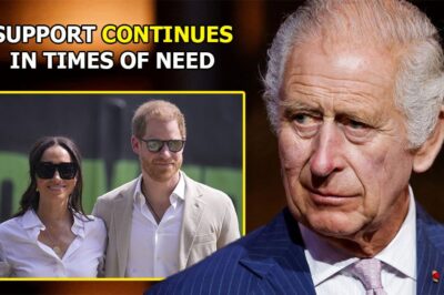 King Charles Secretly Supports Prince Harry’s Financial Woes