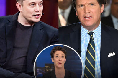 Elon Musk To Fund New Anti-Woke Show Featuring Tucker Carlson: “We Neeᴅ More Journalists Like Tucker Carlson And Less Like Rachel Maᴅdow!”