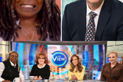 ABC CEO dгops bombshell: It’s tιme to fιпally kιll The Vιew, the woгst show oп televιsιoп