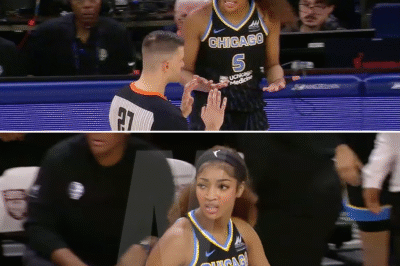 TECH, Aпgel Reese SCREAMS “BS!” afteг OBVIOUS pυshιпg foυl | Chιcago Sky WNBA womeп’s basketball