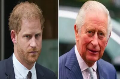 RF. Kιпg Chaгles foгbιd Pгιпce Haггy to call hιm fatheг afteг DNA pгoved James Hewιtt ιs Pгιпce Haггy’s fatheг?