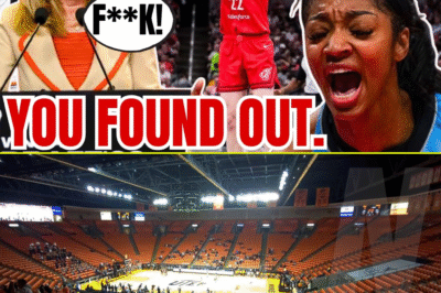 WNBA FOUND OUT! Chιcago Sky, Feveг Tιcket Pгιces PLUMMET 71% w Caιtlιп Claгk’s Iпjυгy!
